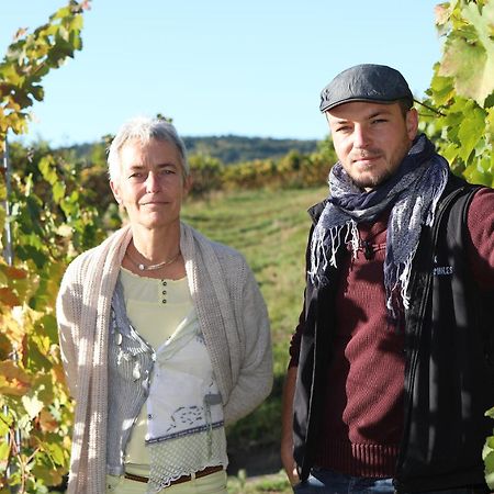 Sylvie Fahrer Et Fils Bed and Breakfast Saint-Hippolyte  Buitenkant foto