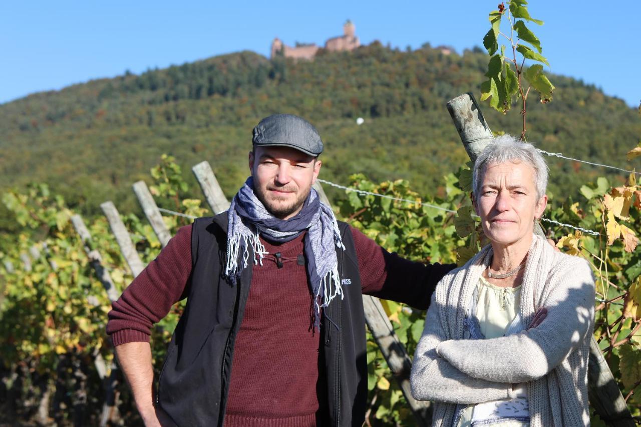 Sylvie Fahrer Et Fils Bed and Breakfast Saint-Hippolyte  Buitenkant foto